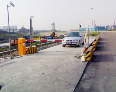 ����ֵ��������